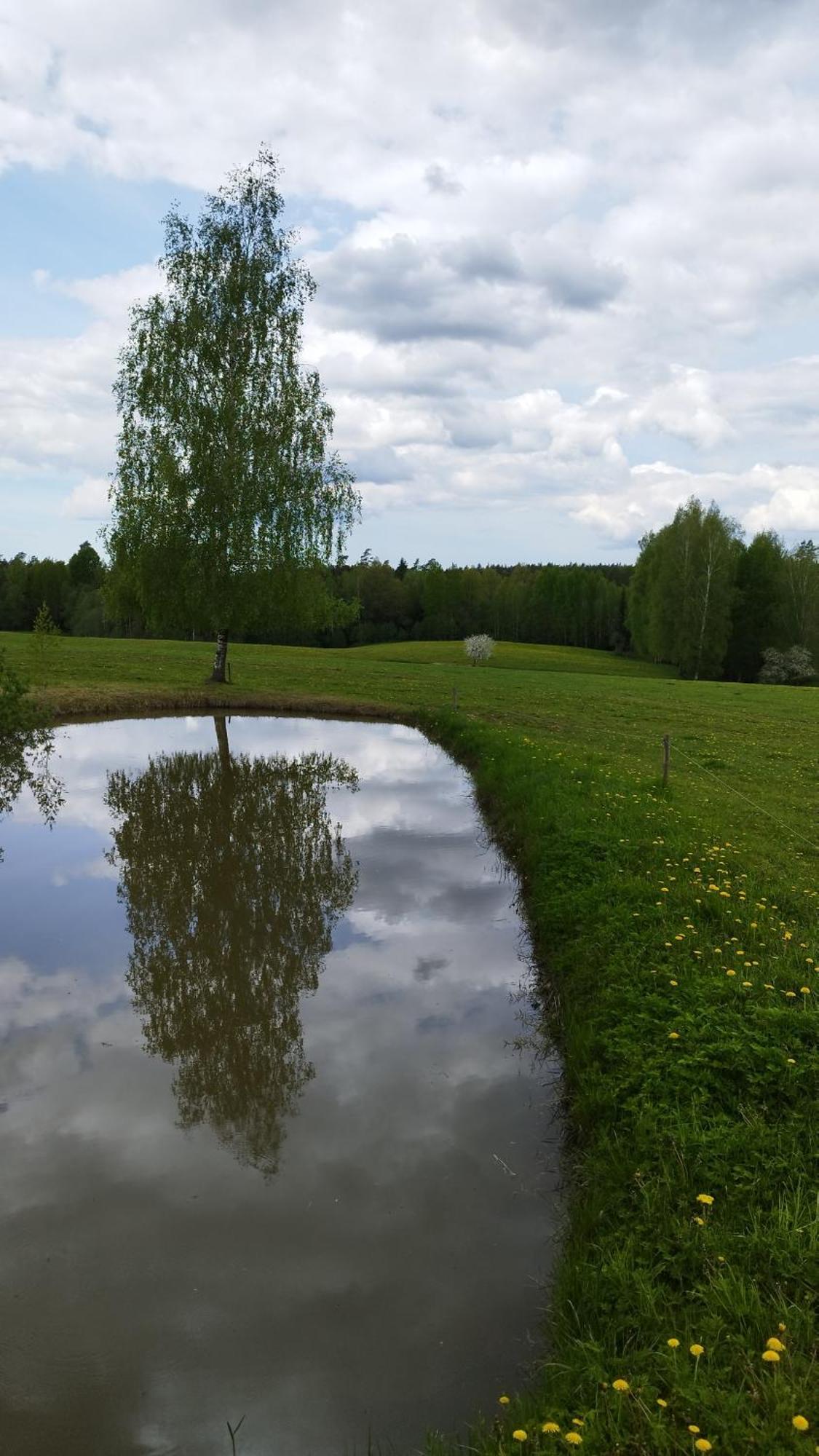 Unique Countryhouse & Sauna In Gauja Valley - Kakukalns Villa Straupe Exterior photo